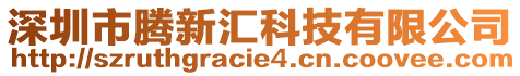 深圳市騰新匯科技有限公司