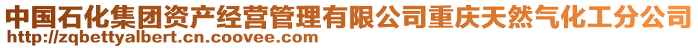 中國(guó)石化集團(tuán)資產(chǎn)經(jīng)營(yíng)管理有限公司重慶天然氣化工分公司