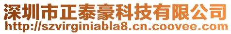 深圳市正泰豪科技有限公司