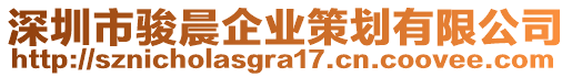 深圳市駿晨企業(yè)策劃有限公司