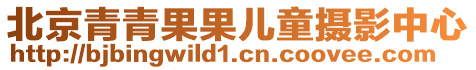 北京青青果果兒童攝影中心