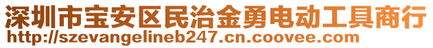 深圳市寶安區(qū)民治金勇電動(dòng)工具商行