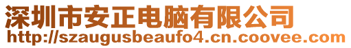 深圳市安正電腦有限公司