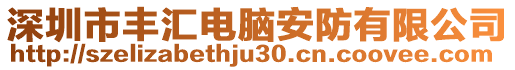 深圳市豐匯電腦安防有限公司