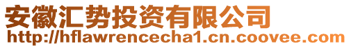 安徽匯勢投資有限公司