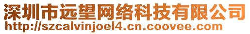 深圳市遠(yuǎn)望網(wǎng)絡(luò)科技有限公司