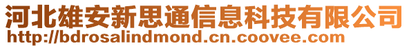 河北雄安新思通信息科技有限公司