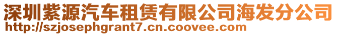 深圳紫源汽車租賃有限公司海發(fā)分公司