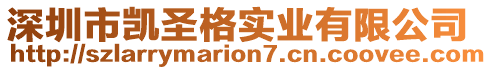 深圳市凱圣格實業(yè)有限公司