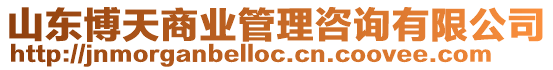 山東博天商業管理咨詢有限公司
