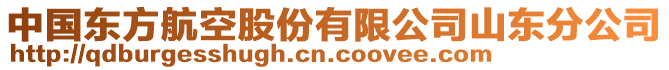 中國東方航空股份有限公司山東分公司