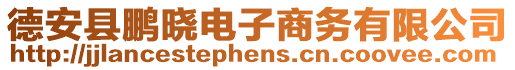 德安縣鵬曉電子商務有限公司
