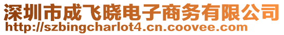 深圳市成飛曉電子商務有限公司
