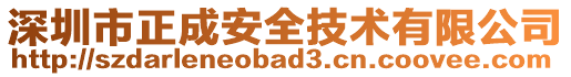 深圳市正成安全技術有限公司