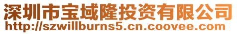 深圳市寶域隆投資有限公司