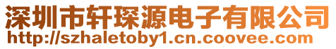 深圳市軒琛源電子有限公司