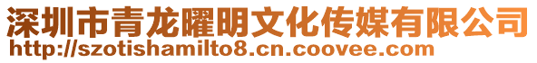 深圳市青龍曜明文化傳媒有限公司