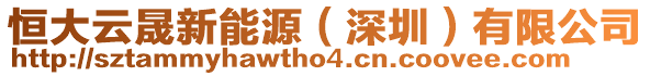 恒大云晟新能源(深圳)有限公司