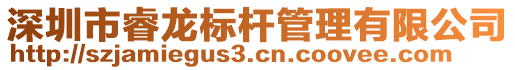 深圳市睿龍標桿管理有限公司