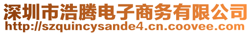 深圳市浩騰電子商務有限公司