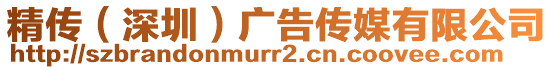 精傳（深圳）廣告?zhèn)髅接邢薰? style=