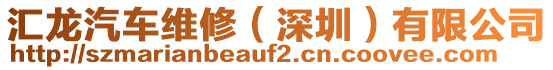 匯龍汽車維修(深圳)有限公司