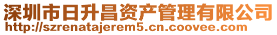深圳市日升昌資產管理有限公司