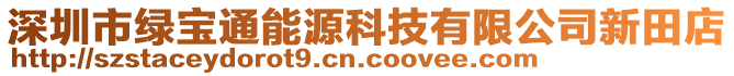 深圳市綠寶通能源科技有限公司新田店