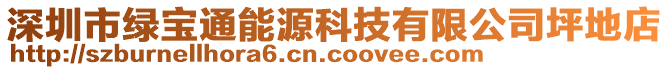 深圳市綠寶通能源科技有限公司坪地店