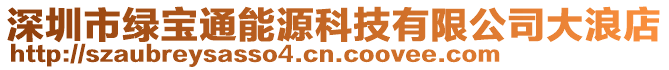 深圳市綠寶通能源科技有限公司大浪店