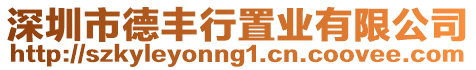 深圳市德豐行置業(yè)有限公司