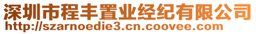 深圳市程豐置業經紀有限公司