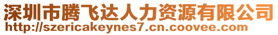 深圳市騰飛達(dá)人力資源有限公司