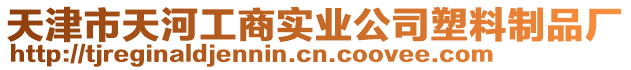 天津市天河工商實業公司塑料制品廠