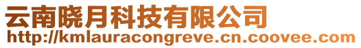 云南曉月科技有限公司