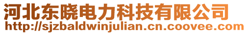 河北東曉電力科技有限公司