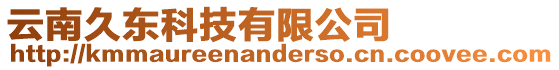 云南久東科技有限公司