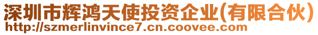 深圳市輝鴻天使投資企業(yè)(有限合伙)