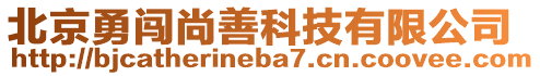 北京勇闖尚善科技有限公司