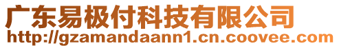 廣東易極付科技有限公司