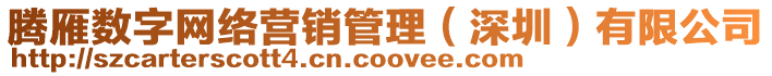 騰雁數(shù)字網(wǎng)絡(luò)營(yíng)銷管理（深圳）有限公司