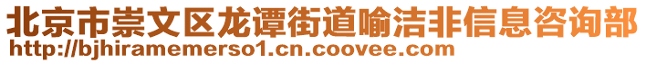 北京市崇文区龙谭街道喻洁非信息咨询部