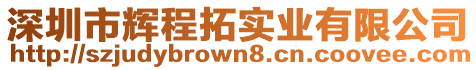 深圳市輝程拓實業有限公司