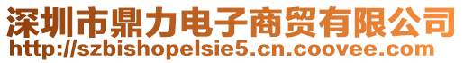 深圳市鼎力電子商貿有限公司