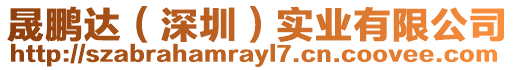 晟鵬達(dá)(深圳)實(shí)業(yè)有限公司