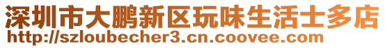 深圳市大鵬新區(qū)玩味生活士多店