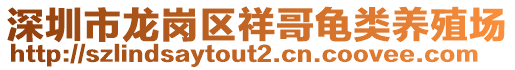 深圳市龍崗區(qū)祥哥龜類養(yǎng)殖場