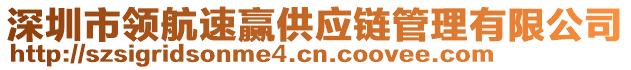 深圳市領(lǐng)航速贏供應(yīng)鏈管理有限公司