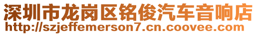 深圳市龍崗區銘俊汽車音響店