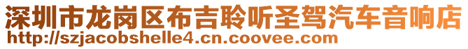 深圳市龍崗區(qū)布吉聆聽圣駕汽車音響店